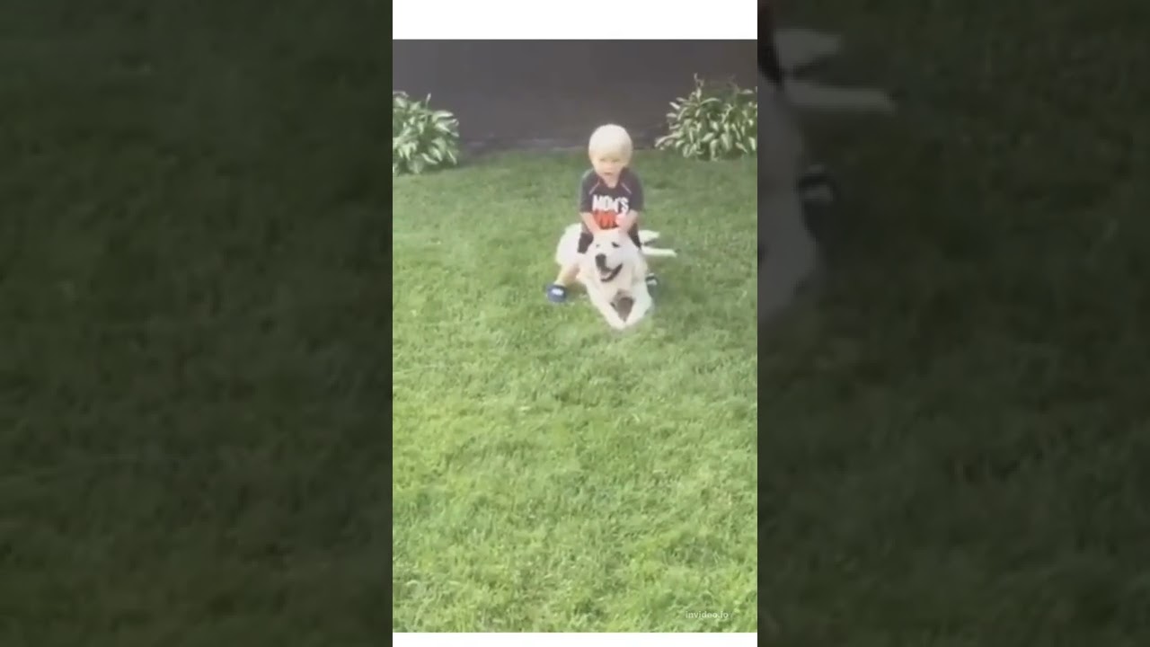 kids