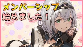 白銀ノエル、Youtube、ライブ、live、ユーチューブ