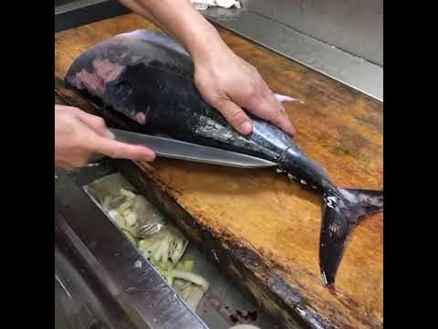 めじマグロ捌いてます 鳥屋だけど魚も美味い 新小岩 鳥益です Youtube