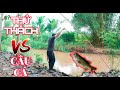 QBV / MỘT NGÀY SINH TỒN PHONG CÁCH DUBAI-Camping and fishing