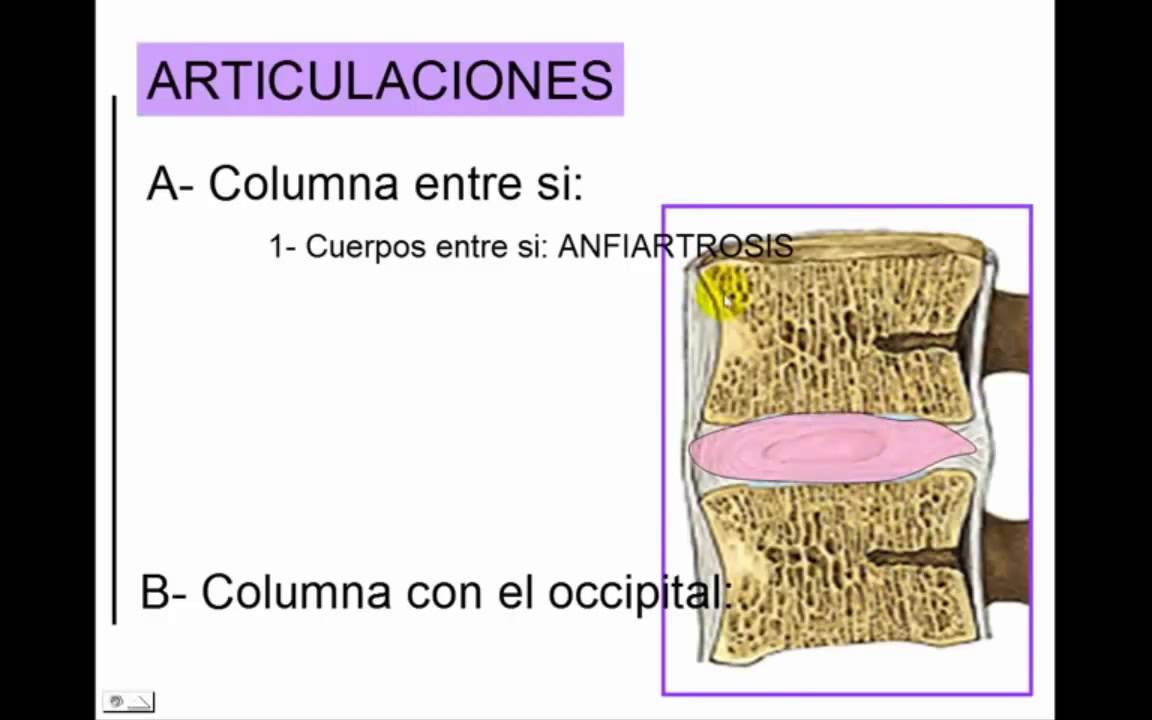camera iphone 8 plus apk articulacion de la columna vertebral