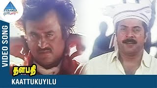 Rajinikanth Song | Kaattukuyilu Video Song | Thalapathi | Mammootty | Yesudas | SPB | Ilayaraja