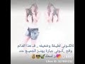 غرور وتحت اجري كل واحد هقهور