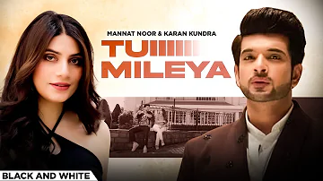 TU MILEYA | VALENTINE SPECIAL | #romanticsong  | KARAN KUNDRA | MANNAT NOOR | NEW ROMANTIC SONG 2023