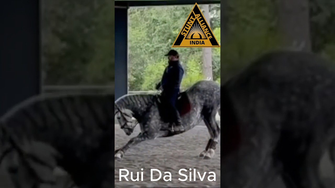 Rui Da Silva | Incredible Horse Skills | Stunt Alliance Specialist 🐎🔥