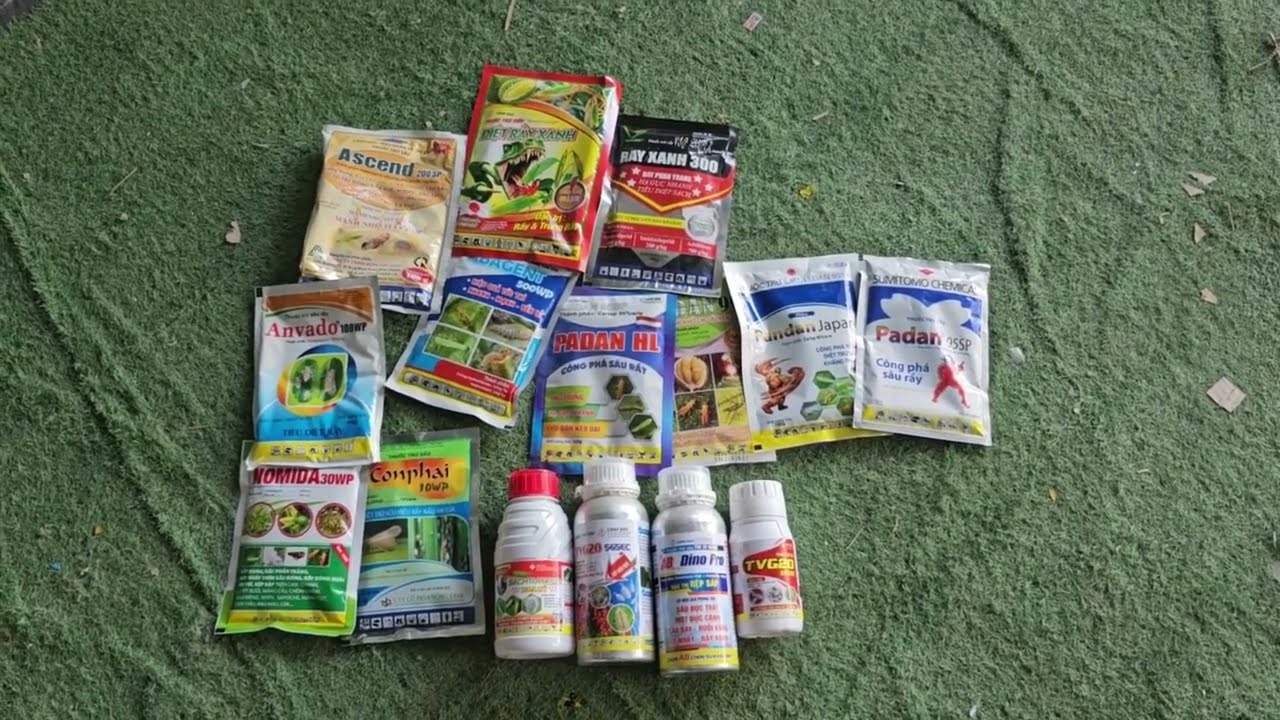 Thuốc rầy mạnh nhất quản lý tốt rầy trên sầu riêng giai đoạn ra cơi đọt cách phối thuốc rầy hiệu quả