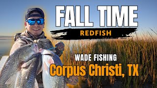 Wade Fishing the Fall transition for REDFISH! (Corpus Christi, TX)