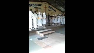 Download Lagu Dibini Gospel Choir Download Lagu Dibini Gospel Choir