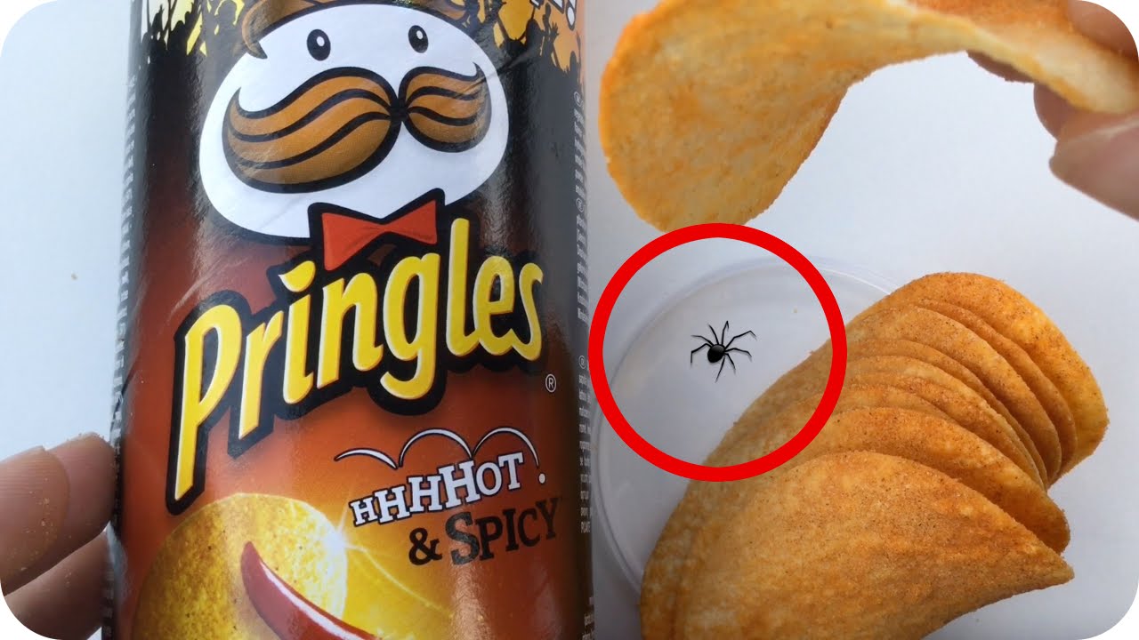 I JUST FOUND A SPIDER IN MY PRINGLES CAN - YouTube