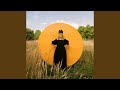 Miniature de la vidéo de la chanson Complete Fool