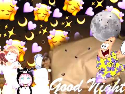 🐈💤