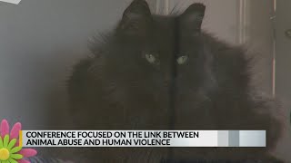 Famous Conference on 'the link' between animal abuse, human violence comes to Albuquerque Net Worth