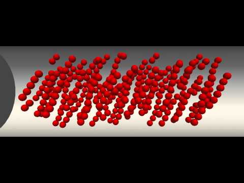 Magnetic particle dynamics