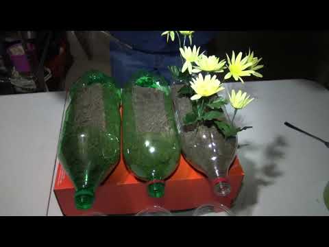 Carbon Sequestration Part 2 Eng 209