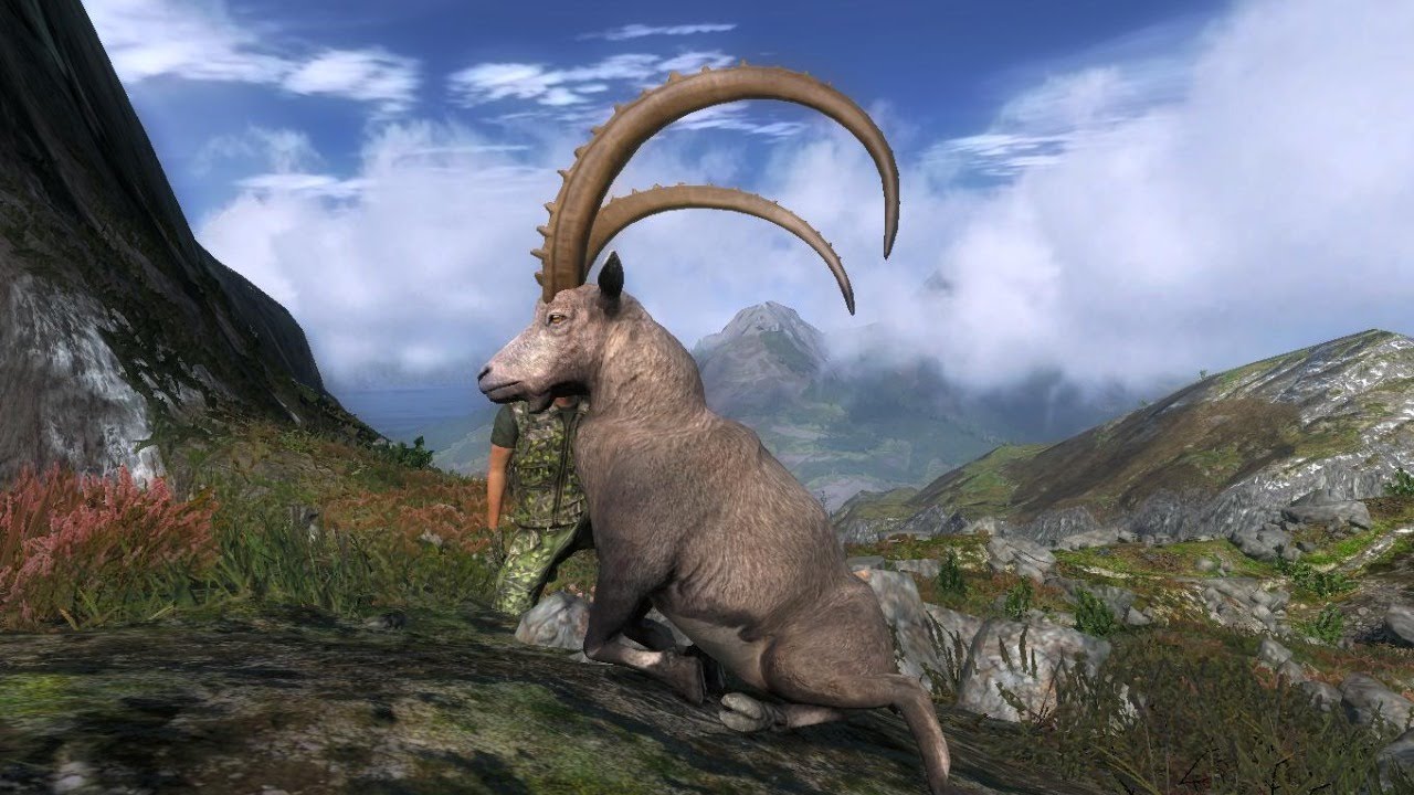 Most Realistic Hunting Game LIVE TheHunterClassic 2020 Alpine Ibex most-realistic-hunting-game-live-thehunterclassic-2020-alpine-ibex