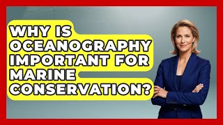 Why Is Oceanography Important for Marine Conservation? | Water Science For Everyone News