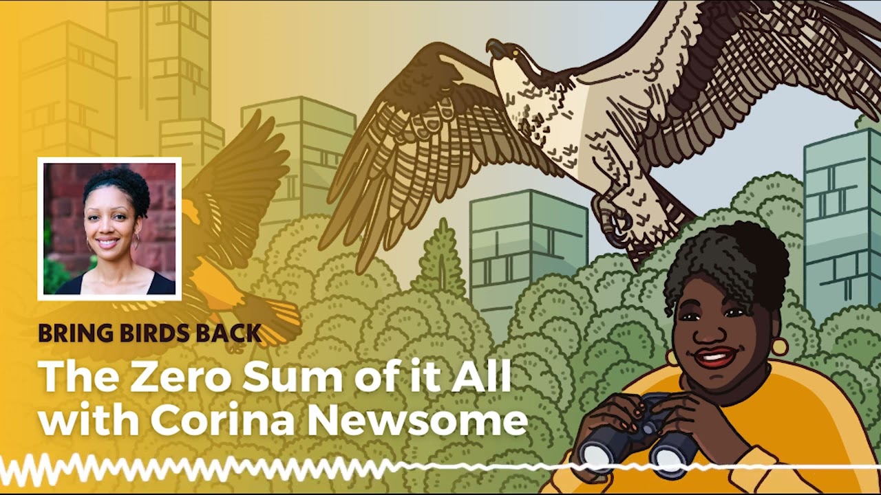 The Zero Sum of it All with Corina Newsome