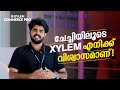 ചേച്ചിയിലൂടെ Xylem എനിക്ക് വിശ്വാസമാണ്! | Xylem CMA Classes