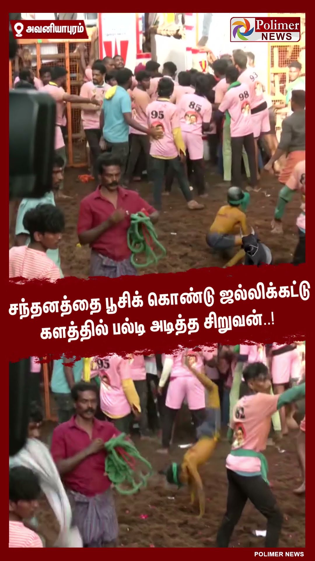 சந்தனத்தை பூசி ஜல்லிக்கட்டு களத்தில் பல்டி அடித்த சிறுவன்..! #shorts | #avaniyapuramjallikattu