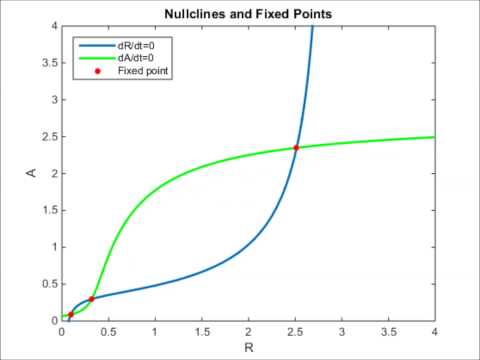 nullclines