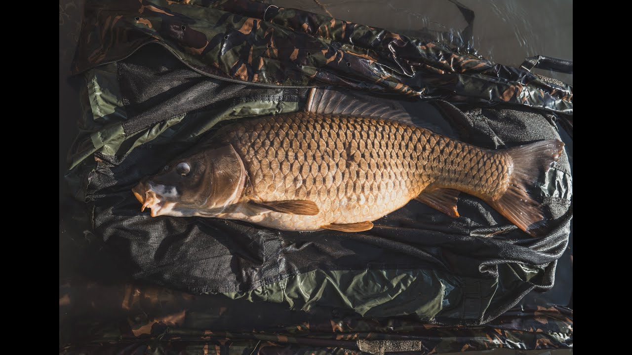 Gyekenyes březnová výprava
