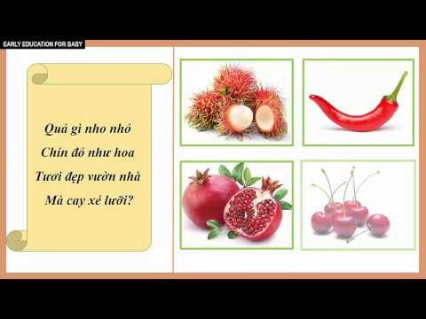 Video Câu đố cho trẻ mầm non| Câu đố về cây củ quả cho bé|... - youtube