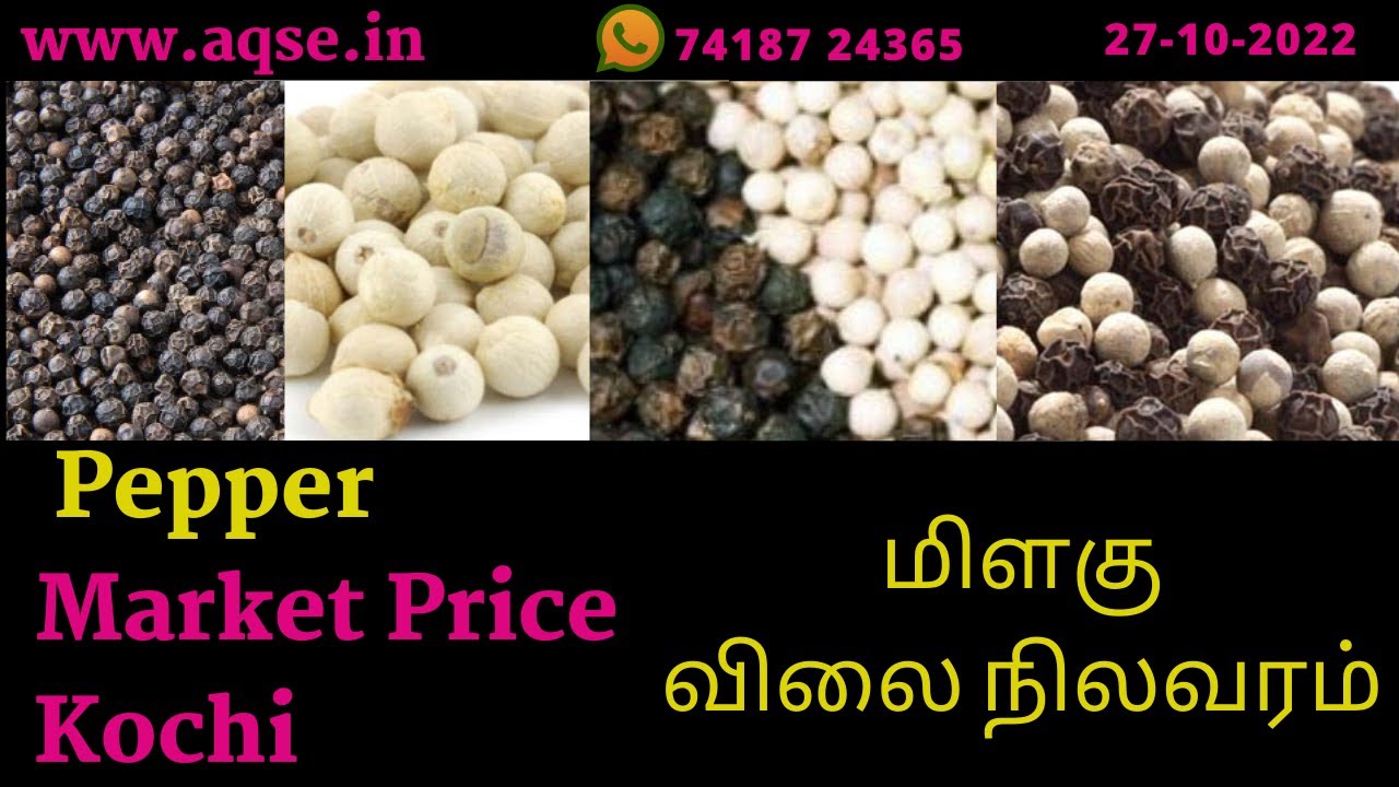 Cochin Pepper Rate Pepper Auction Market Black Pepper Price Report cochin-pepper-rate-pepper-auction-market-black-pepper-price-report