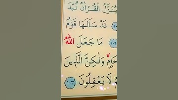 آية 103 من سوره المائده بصوت الشيخ سعد الغامدي
