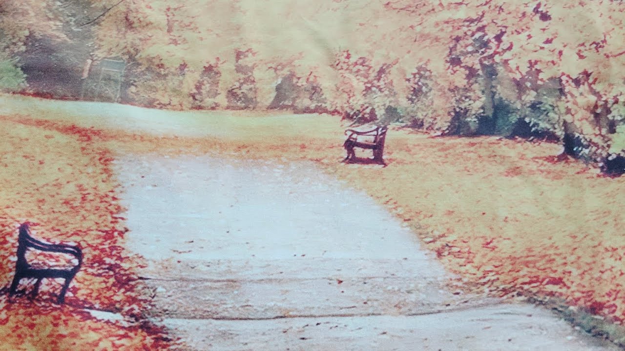 COLLECTIVE DAILY MESSAGE NO CONTACT '4 OF SWORDS'