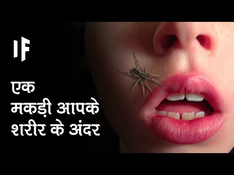 वीडियो: क्या ब्रिटेन में व्याध मकड़ी हैं?