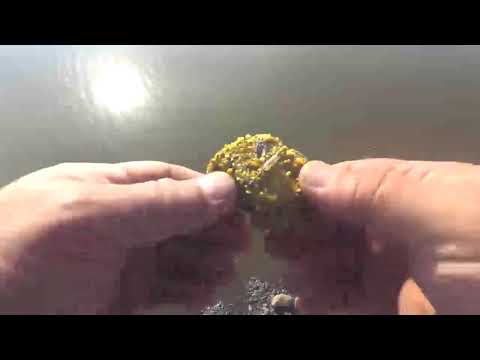 Насадки которые уведут от ноля ,когда рыба не клюёт.РЫБАЛКА в Адыгее.