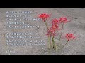 2023-9-28 ワカンナイ/井上陽水