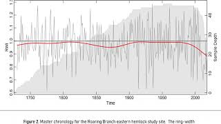 Dendrochronology Takeaways and Supplementary Info, RUSEF2020