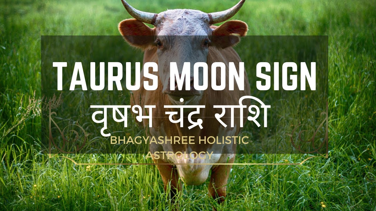 Vrishabha Rashi [Mind/Body Personality Types #14