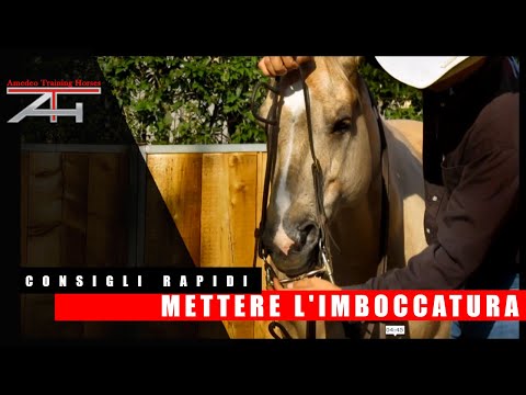 Video: Come Mettere Le Briglie