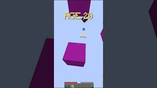 Parkour At Different Ages 😎 (World's Smallest Violin) #Shorts #Minecraft #Viral