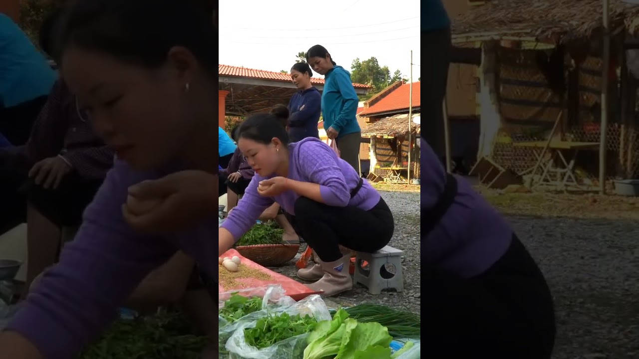Harvesting Chicken Eggs Bringing to the Market - Daily Work at