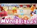【あつ森】新人アイドルのMVの撮影会をしよう！【あつまれ どうぶつの森】