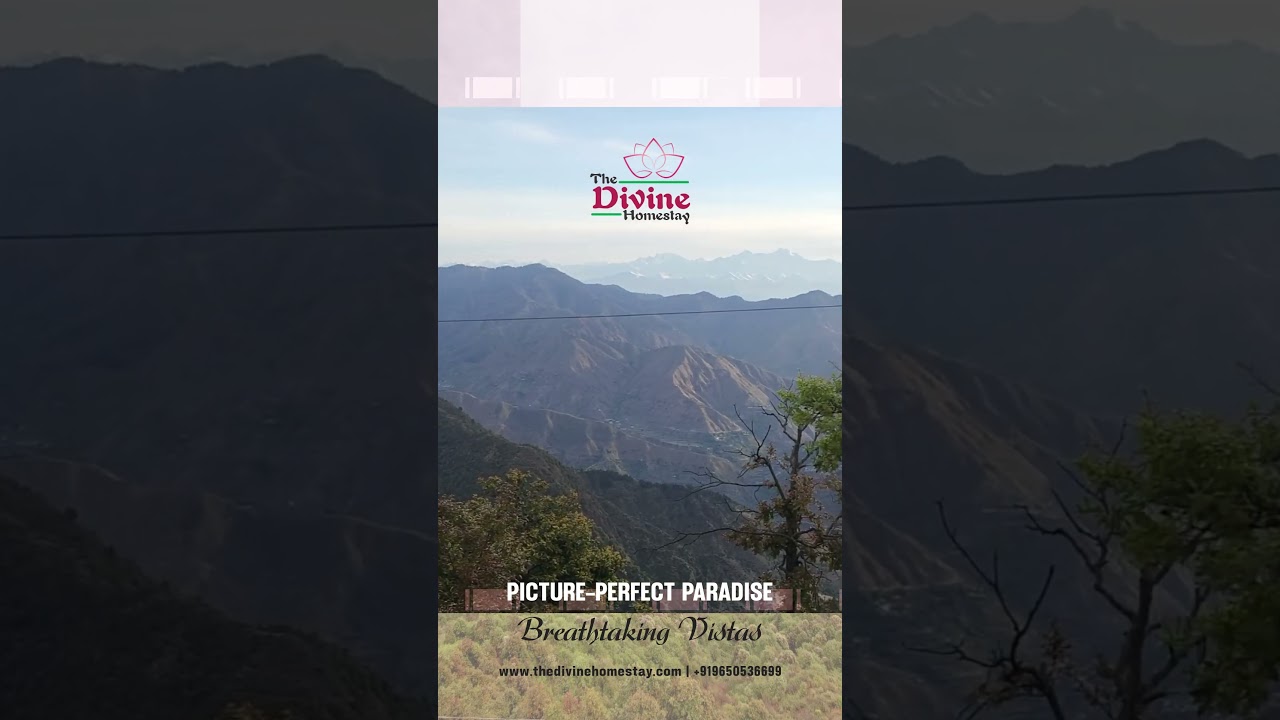 The Divine Homestay: Your Gateway to Mountain Bliss in Dhanaulti 