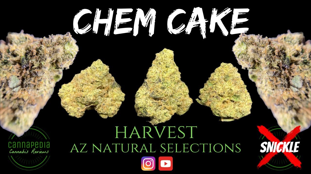 Chem Cake Strain Review Harvest AZ Natural Selections Cannapedia YouTube