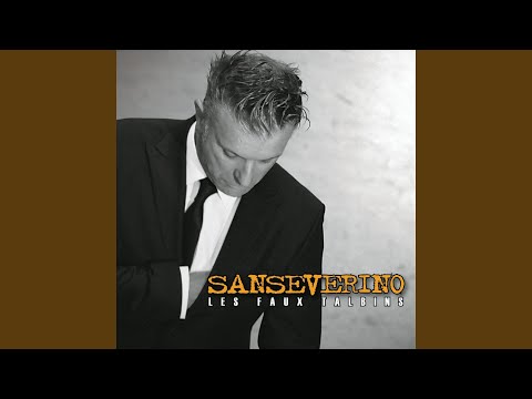 Sanseverino — A Boy Named Sue
