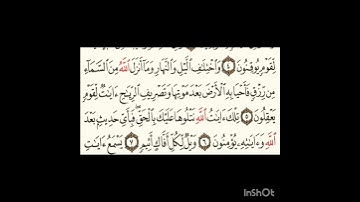 سورة الجاثية ٥الى٧ #سورةالفاتحة #اكسبلور #سورةالكوثر #تيك_توك #المصحف #الورقات #سورةالاخلاص #لايك