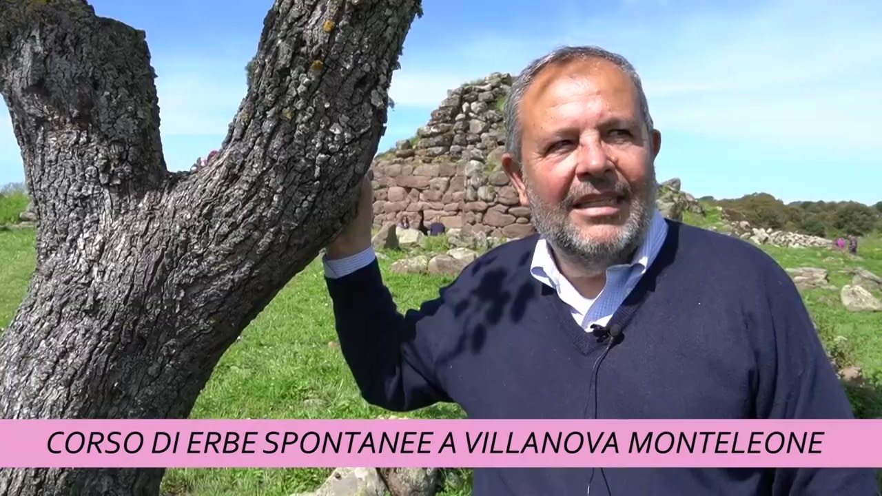ERBE SPONTANEE E TRADIZIONE SARDA A VILLANOVA MONTELEONE (29-04-2025)