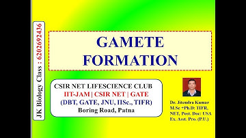GAMETE FORMATION || CSIR NET LIFE SCIENCE | NEET | IIT JAM