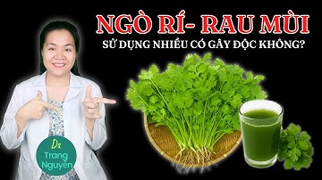 Ngò Rí Có Độc Không? Sự Thật Về Loại Rau Mùi Bạn Ăn Mỗi Ngày!