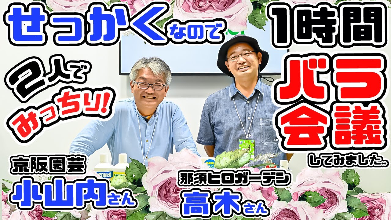 A must-see for rose lovers!] A 