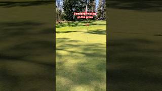 Someone waiting on the green. 😂