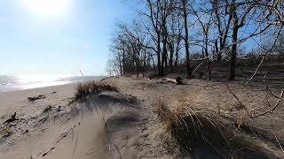 Peace on the Beach: Sunshine, waves, and sparkling sand