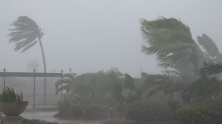 Strong Winds, Torrential Rain  Typhoon Noul 4K Stock Footage Screener