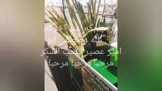 الات عصير قصب السكر للبيع هي وعربتها